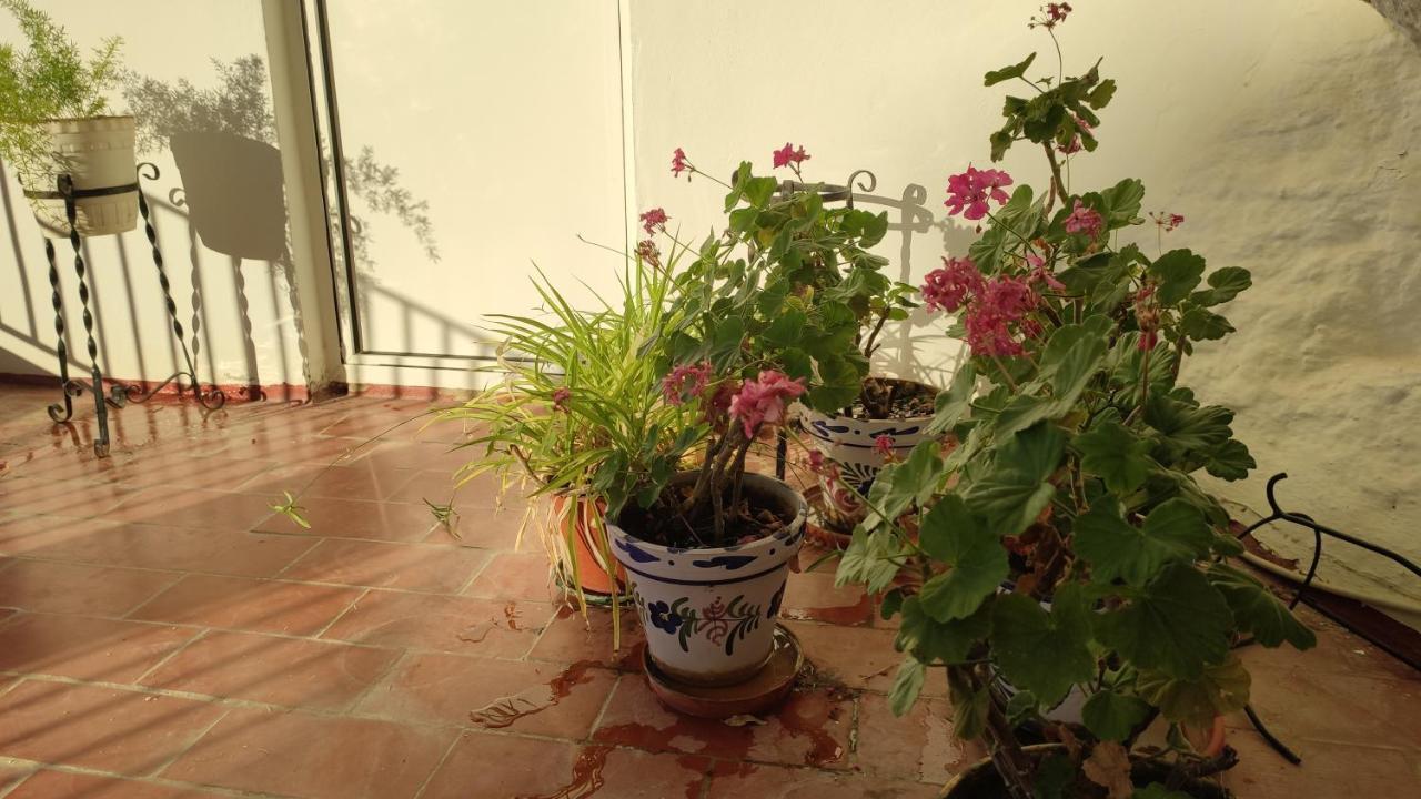 הוילה Setenil De Las Bodegas Casa Bellavista מראה חיצוני תמונה